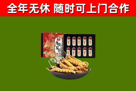 扶沟县回收冬虫夏草价格