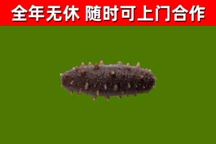 扶沟县烟酒回收干海参.jpg